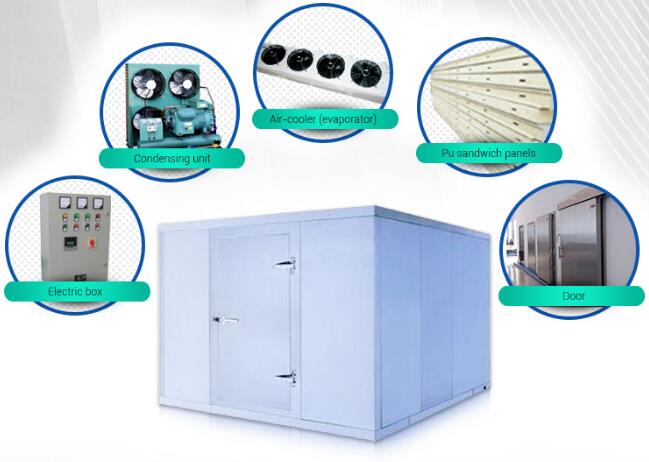 クーラーの送風フリーザーの冷蔵室の採取装置、低温貯蔵の歩行およびフリーザー 0