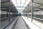 プレハブの鋼鉄構造倉庫の研修会の鋼鉄牛舎および構造 サプライヤー